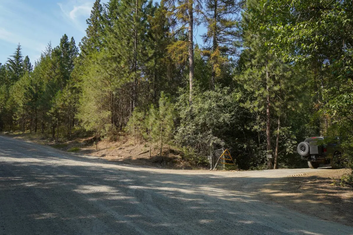 A gravel road winds through tall pine trees with a vehicle parked nearby, evoking the peacefulness of mountain roads and the anticipation of arriving at a remote getaway. The natural setting hints at wildlife watching, stargazing, and the lodge’s requirement for AWD or 4WD vehicles in winter.