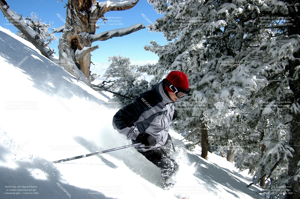 A skier glides down a pristine, snow-covered landscape flanked by trees, capturing the spirit of winter sports and mountain adventure. The image features bright snow, crisp air, and the exhilaration of skiing or snowboarding in a beautiful alpine setting.