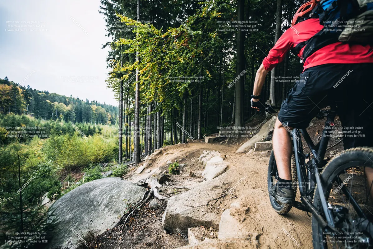 A mountain biker navigates a rocky forest path, surrounded by dense, vibrant trees. The rugged terrain and lush greenery evoke the excitement of summer and fall outdoor pursuits like mountain biking and hiking, central to the lodge’s warm-weather appeal.